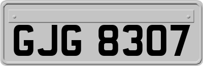 GJG8307
