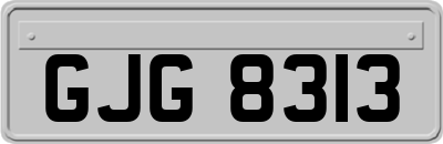 GJG8313