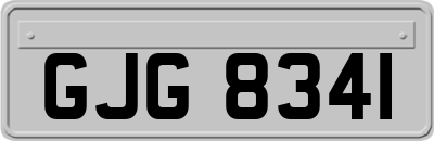 GJG8341