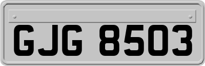 GJG8503