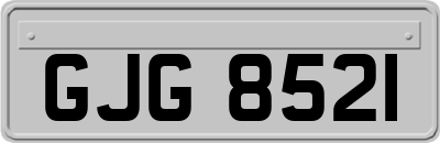 GJG8521