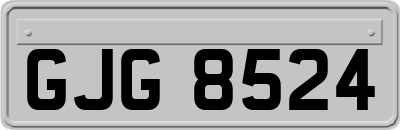 GJG8524