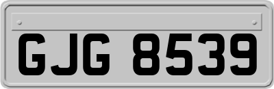 GJG8539