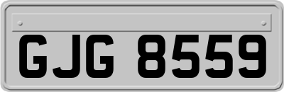 GJG8559