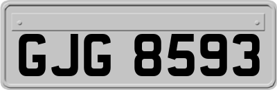 GJG8593