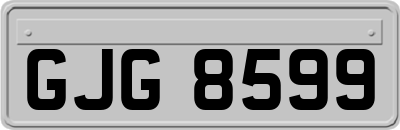 GJG8599