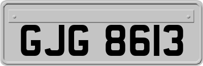 GJG8613