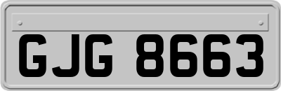 GJG8663