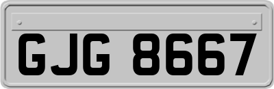 GJG8667