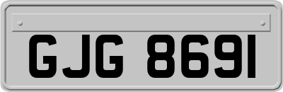 GJG8691