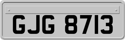 GJG8713