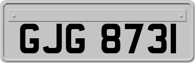 GJG8731