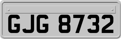 GJG8732