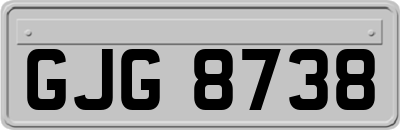 GJG8738