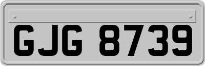 GJG8739