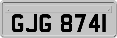 GJG8741