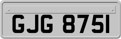 GJG8751