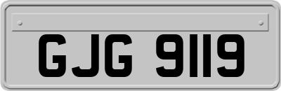 GJG9119