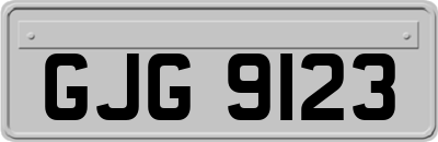 GJG9123