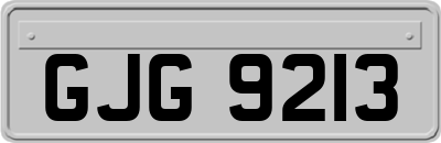 GJG9213