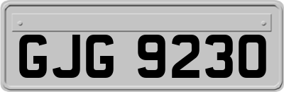 GJG9230