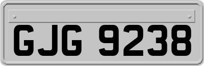 GJG9238