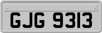 GJG9313