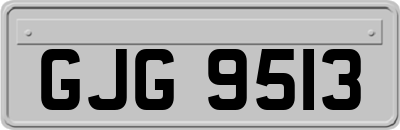GJG9513