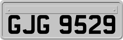 GJG9529