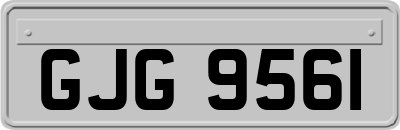 GJG9561