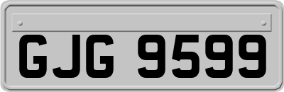 GJG9599
