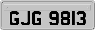 GJG9813