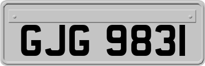 GJG9831