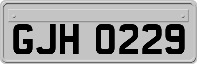 GJH0229