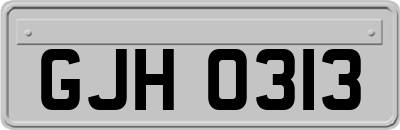 GJH0313