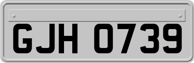 GJH0739