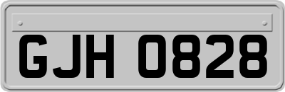 GJH0828