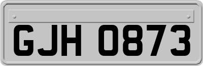 GJH0873