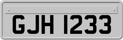 GJH1233