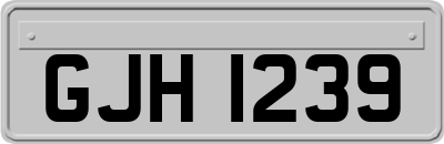 GJH1239
