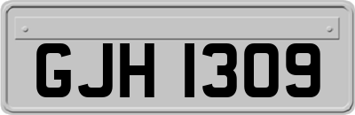 GJH1309