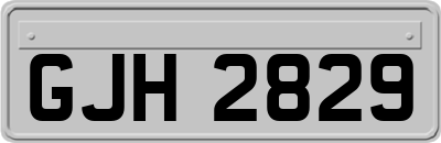GJH2829
