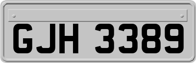 GJH3389