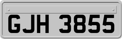 GJH3855