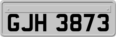 GJH3873