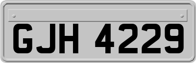 GJH4229