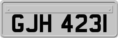 GJH4231
