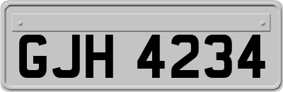 GJH4234