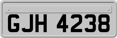 GJH4238