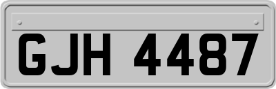 GJH4487